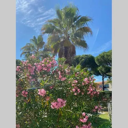 Apartamento Studio Cabine 4 Pers. Cap D'Agde Quartier Pinede Avec Piscine Agde